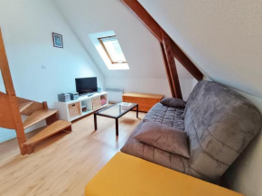 Chez Charlotte, T3 duplex, vue montagne, parking gratuit, ascenseur, 4 personnes